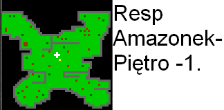 Amazonki4.PNG